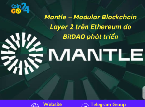 Mantle – Modular Blockchain Layer 2 trên Ethereum do BitDAO phát triển
